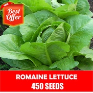 Romaine Lettuce Seeds -   Lettuce Seeds