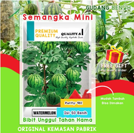 Semangka Mini Watermelon Biji Unggul Tahan Hama Isi 5 Benih Bibit Buah Semangka