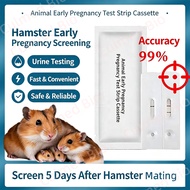 Kad Ujian Urin Kehamilan Awal Hamster | Hamster Pregnancy Test Strip Ujian Kehamilan Haiwan Pelihara