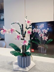 LEGO Icons 10311 蘭花 Orchid