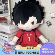 HaikyuuKuroo Tetsurou.Accessories-Anime Doll 40CM character-cute-Gift.Manga Doll