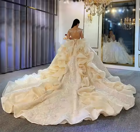 Sparkling Crystal Beaded Wedding Dresses With Long Flouncing Train Ball Gown Church Bridal Wedding P
