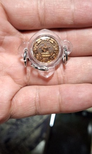 2548 澤度金 阿贊速 牌背有code