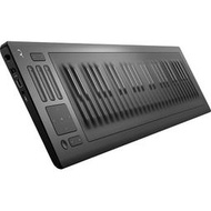 Roli Seaboard Rise 49 MIDI 鍵盤 [預購]