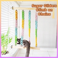 Active Pet Exercise Wooden Climbing Rack Swing For Sugar Gliders And Birds Cage