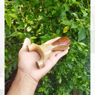 Ketapel kayu jambu biji asli + Karet flatband siap pakai