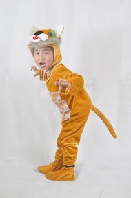 เครื่องแต่งกายสําหรับเด็ก Lion King สีเขียว Wild Wizard Little Lion Performance Clothes Forest King 