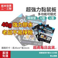 【開發票宅配免運】48片/箱 預訂出貨 SafePRO® 多功能可摺式 超強力黏鼠板 超黏 glue trap
