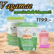 เข้าร่วมโปรแกรมส่งฟรี Vegamae โปรตีนพืช  เวกาเม่โปรตีนถั่วลันเตา  กลิ่นหอม รสชาติอร่อย ดื่มง่าย โปรต