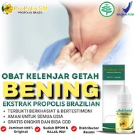 Propolis SM Brazil - Obat Kelenjar Getah Bening -  Obat Benjolan Di Leher Ketiak Kepala Payudara Bel