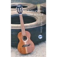 (TODO x Refine Life) Limited Edition (52Hz Whale) All Solid Acacia Concert and Tenor Ukulele (Complete Set)