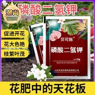 【樂樂屋】貝可施磷酸二氫鉀花肥料開花卉專用顆粒家用磷鉀肥葉面肥批發代發