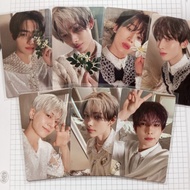Official pc niki sunoo sunghoon jay flower kalpa ab maung meow toki rabbit heeseung photocard ni-ki 