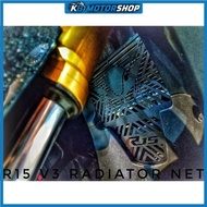 R15 V3 YAMAHA Radiator Net D2