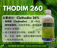 Thodim 260 (1L)  Herbicide/ Racun Rumput Rumpai/ 草药/除草剂 【Rumput Minyak,Rumput Sambau,Rumput Kerunong