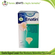ENATIN BLISTER 9 KAPSUL OBAT HERBAL BATU GINJAL