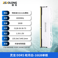 JIANGLONG | High Capacity AI DDR5 Desktop Gaming Memory 96GB 6000MHz
