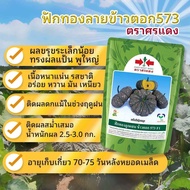 ฟักทองข้าวตอก 573 F1 ศรแดง 100 กรัม หมดอายุ 4/69