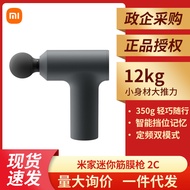 HZXiaomi MijiaminiFascial Gun Xiaomi Fascial Gun2CMuscle Massage Gun Mini Deep Massager Light Gray