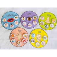 [AnDatShop] Round Learning Materials for 5 Senses