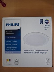 Phililps 嵌入式LED燈（白光）