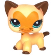 ยอดฮิต derZ441 - / Lps Cat Pet Shop ของเล่นยืนสั้นผมแมวสีเหลือง3573สีดำ336 2249สุนัข Collie 1542 Gre