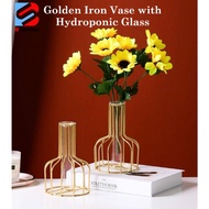 Nordic Golden Iron Vase with Hydroponic Glass for Ornament & Artificial Flower Tabletop Plant Holder
