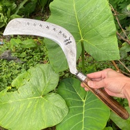 Arit Deres Sadap Kelapa/ Sadap Aren/Sadap Pohon Karet Cap Dewi Bintang