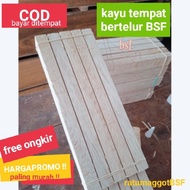 eggis kayu tempat telur bsf