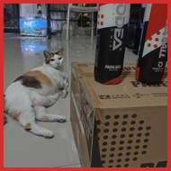 (PADEL) ORIGINAL ODEA PADEL BALLS CONTAINS 3 PADEL BALLS (NEW, VIRAL, CURRENT SPORTS)