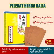 Ginger Patch - Pelekat Herba Halia, Hambat angin dengan Ginger Patch