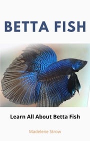 Betta Fish Leandro Silva