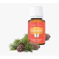 Cedarwood Young Living Essential Oil