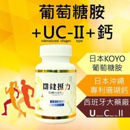 【關鍵挺力】 專利UC2 葡萄糖胺 鈣 UC-II glucosamine 二型膠原蛋白 維骨力 骨本 補鈣