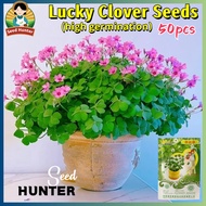 Fresh Rare Lucky Clover Seeds for Planting Flowers (Fast Growing 50 Seed) Lucky Plants Indoor Potted