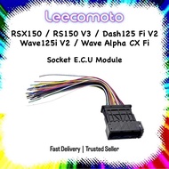 ECU Module Socket Soket Wire RS-X 150 RSX150 RS 150 V3 RS 150R V3 Dash 125 Fi V2 Wave 125i V2 Alpha 