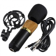[ ORIGINAL ] TaffSTUDIO Studio Condenser Microphone with Shock Proof Mount BM-800 Mic