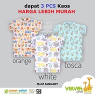 Short Sleeve Tee VELVET JUNIOR T-shirt Baby Daily Tops - 3-6 Months, 3 PCS JANUARY