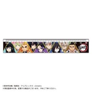 ANIPLEX - 鬼滅之刃 鬼滅の刃 日版 文具 間尺 上學 便攜 尺子 15cm Vol.2 惡魔殺手 蝴蝶忍 炎柱 (鬼殺隊)