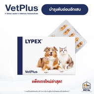 LYPEX [Authentic] Supplement For Nourishing Cartilageitis Dogs And Cats.