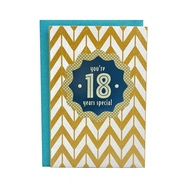 GREETING CARD - HALLMARK - GREETING CARD - 18th BIRTHDAY - 18th YEARS SPECIAL