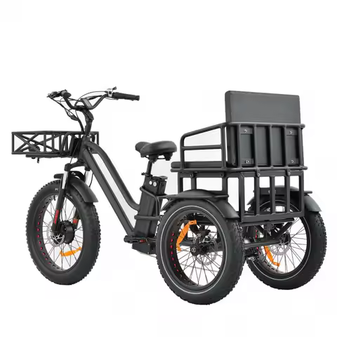 3 Wheel Fast Electric Bike Ebike Two Saddle Fat Tire Electric Road Tricycle Two-Seater Electric Trik