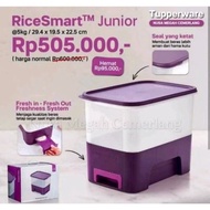RiceSmart 5kg tupperware rice container