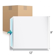 C4 White Envelope 100gsm 9 x 12.75 Inch (Pack of 250)
