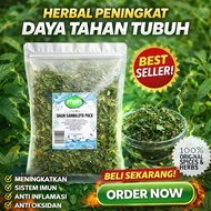 Sambiloto Kering Daun Sambiloto Kering Asli Sambiloto Kering Asli