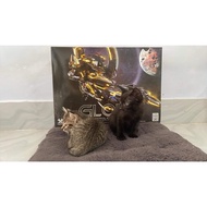 Supreme Evolution Glory Eternal Star Model