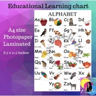 Alphabet Learning chart A4 Laminated