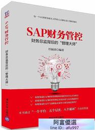 SAP財務管控:財務總監背後的管理大師 任振清 著 2015-8 清華大學出版社
