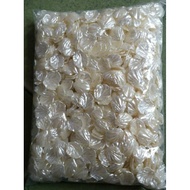 WHOLESALE IVORY SHELL BEADS | Pound Pound
