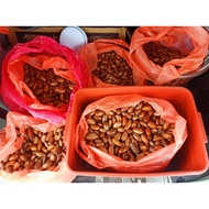 BUAH PERAH 1KG (ADA MENTAH DAN SIAP JERUK)